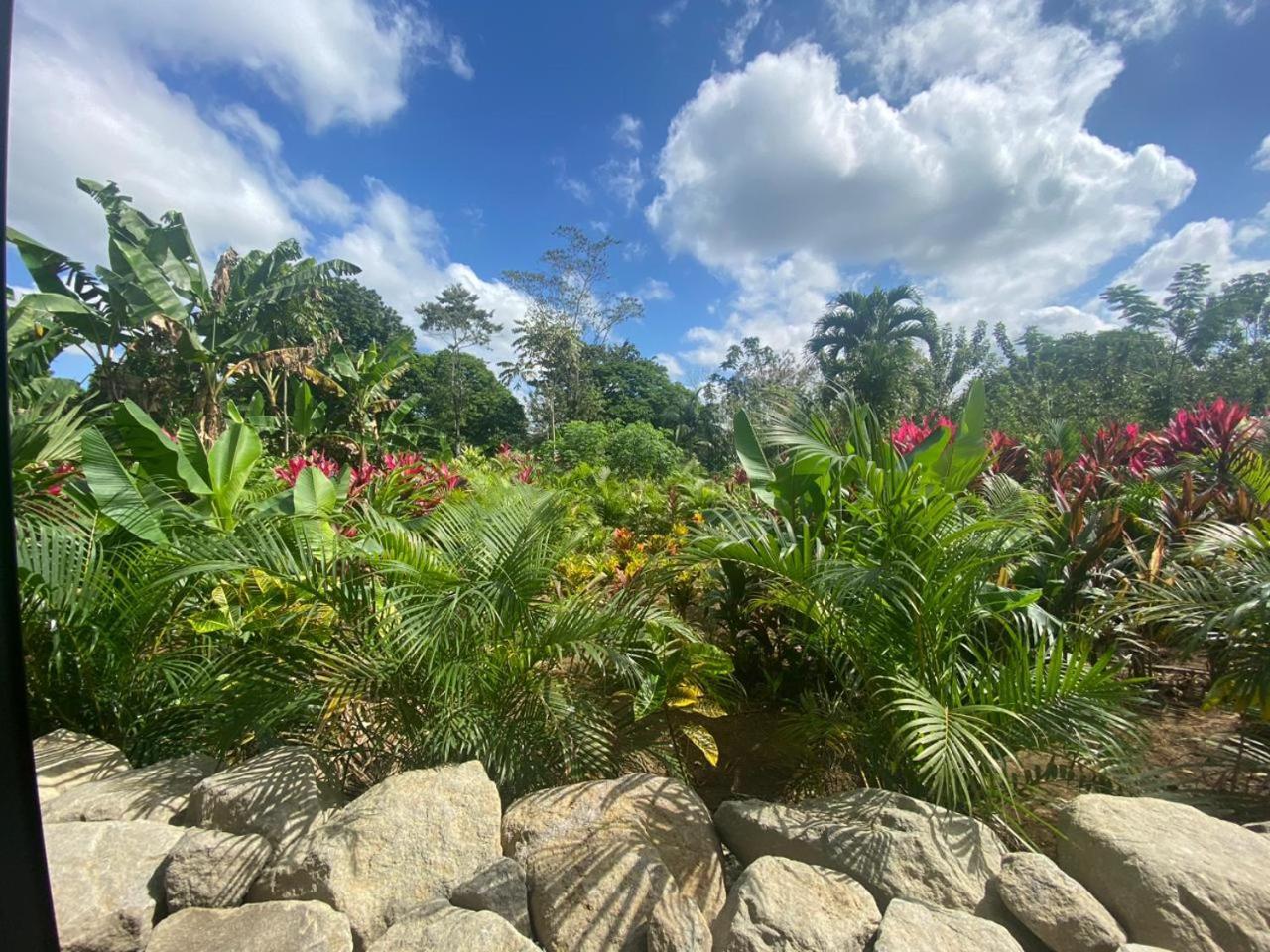 Villa Tanager La Fortuna Екстер'єр фото
